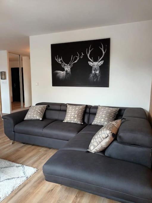 Appt Centre Gérardmer Dış mekan fotoğraf
